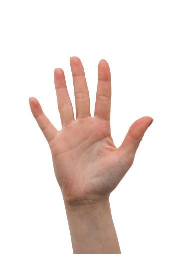 Your hands